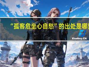 “孤客危坐心自愁”的出处是哪里