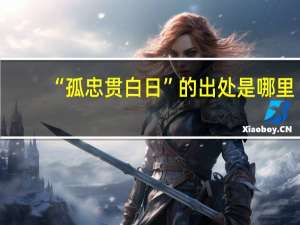 “孤忠贯白日”的出处是哪里
