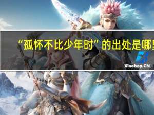 “孤怀不比少年时”的出处是哪里