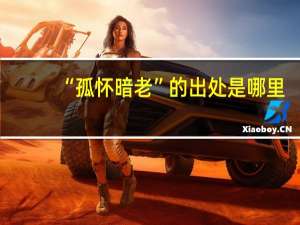 “孤怀暗老”的出处是哪里