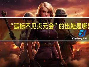 “孤标不见贞元会”的出处是哪里