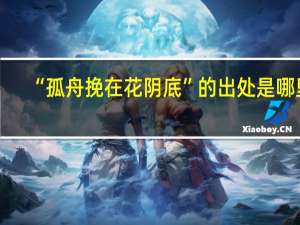 “孤舟挽在花阴底”的出处是哪里