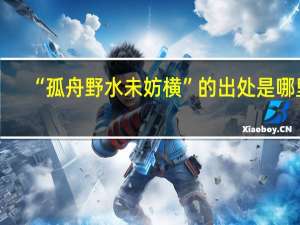 “孤舟野水未妨横”的出处是哪里