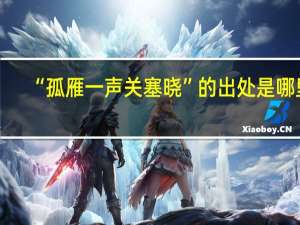 “孤雁一声关塞晓”的出处是哪里