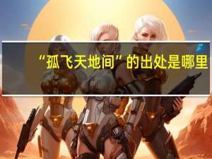 “孤飞天地间”的出处是哪里