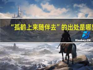 “孤鹤上来随伴去”的出处是哪里