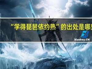 “学得琵琶依约熟”的出处是哪里