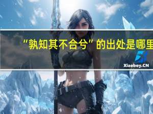 “孰知其不合兮”的出处是哪里