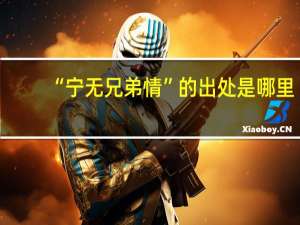 “宁无兄弟情”的出处是哪里