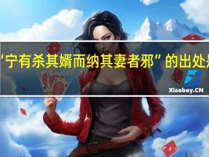 “宁有杀其婿而纳其妻者邪”的出处是哪里