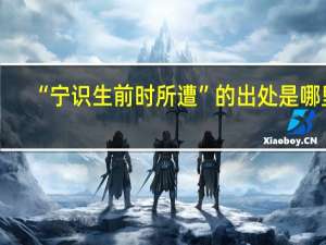 “宁识生前时所遭”的出处是哪里