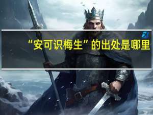 “安可识梅生”的出处是哪里