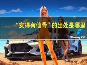 “安得有仙骨”的出处是哪里