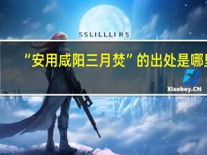 “安用咸阳三月焚”的出处是哪里