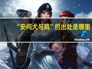 “安问犬与鸡”的出处是哪里