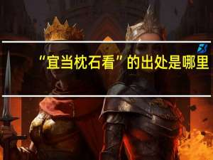 “宜当枕石看”的出处是哪里