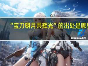 “宝刀明月共辉光”的出处是哪里