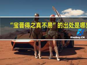 “宝晋得之真不易”的出处是哪里