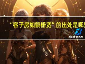 “客子房如鹤栅宽”的出处是哪里