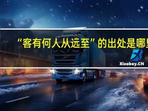 “客有何人从远至”的出处是哪里