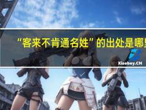 “客来不肯通名姓”的出处是哪里