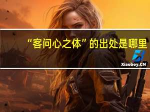 “客问心之体”的出处是哪里