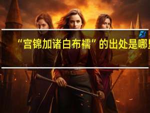 “宫锦加诸白布襦”的出处是哪里