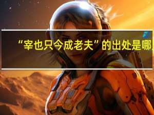 “宰也只今成老夫”的出处是哪里