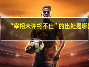 “宰相未许终不仕”的出处是哪里