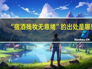 “宿酒残妆无意绪”的出处是哪里