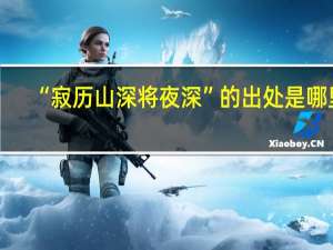 “寂历山深将夜深”的出处是哪里