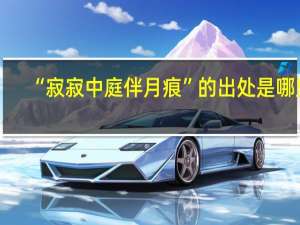 “寂寂中庭伴月痕”的出处是哪里