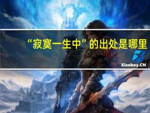 “寂寞一生中”的出处是哪里