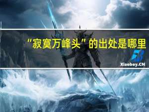 “寂寞万峰头”的出处是哪里