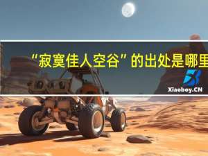 “寂寞佳人空谷”的出处是哪里
