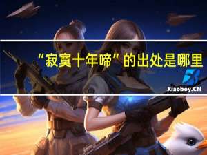 “寂寞十年啼”的出处是哪里