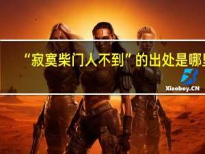“寂寞柴门人不到”的出处是哪里