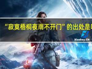 “寂寞梧桐夜雨不开门”的出处是哪里