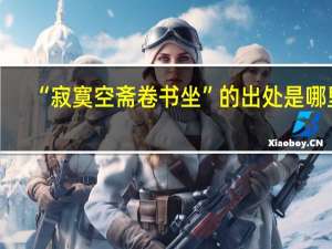 “寂寞空斋卷书坐”的出处是哪里