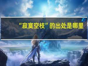 “寂寞空枝”的出处是哪里