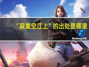 “寂寞空江上”的出处是哪里