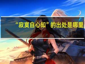 “寂寞自心知”的出处是哪里