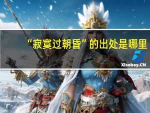 “寂寞过朝昏”的出处是哪里
