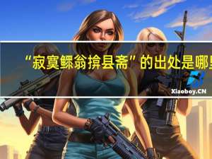 “寂寞鳏翁揜县斋”的出处是哪里