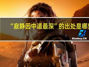 “寂静因中道最深”的出处是哪里