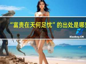 “富贵在天何足忧”的出处是哪里