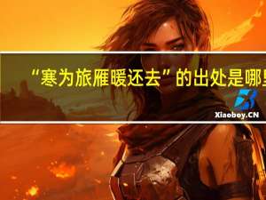 “寒为旅雁暖还去”的出处是哪里