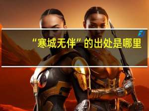 “寒城无伴”的出处是哪里