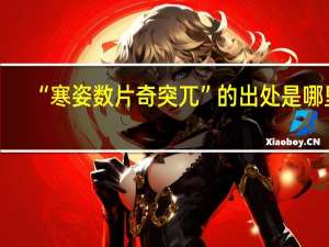 “寒姿数片奇突兀”的出处是哪里