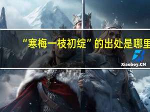 “寒梅一枝初绽”的出处是哪里